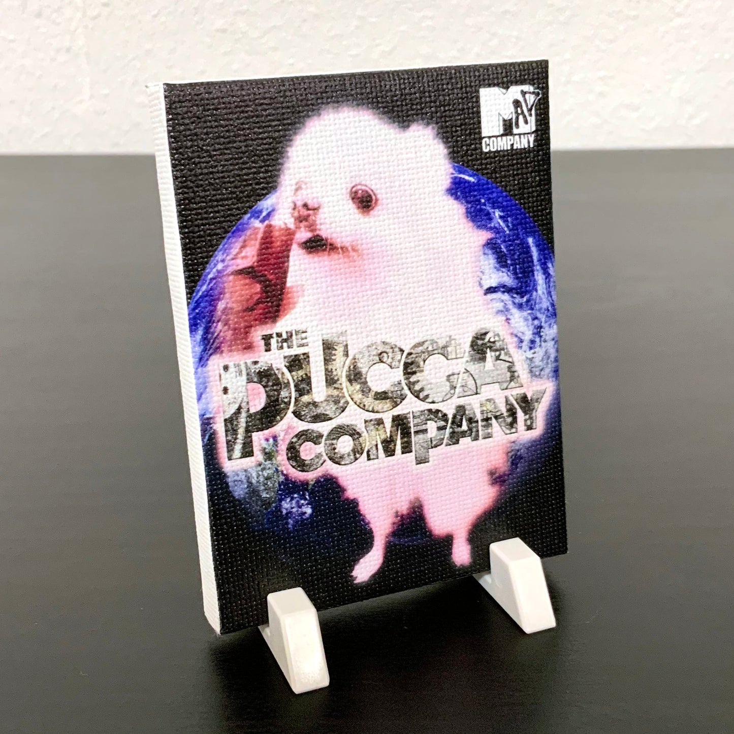 PUCCA COMPANY ロンTEE【プッカピンク】