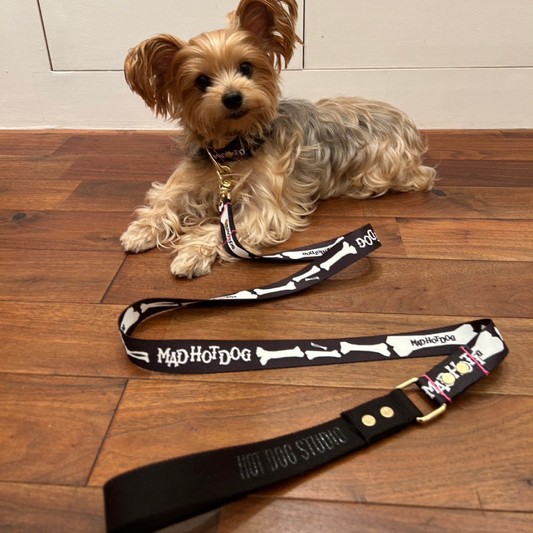 【HOT DOG STUDIOコラボ】 骨骨 首輪S