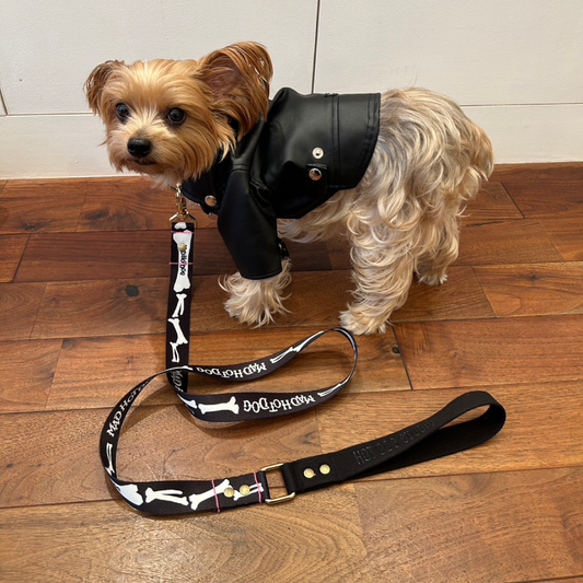 【HOT DOG STUDIOコラボ】 骨骨 リード